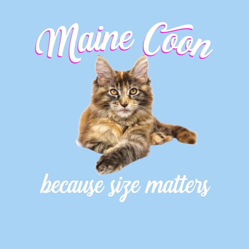 Maine Coon Cat Because Size Matters