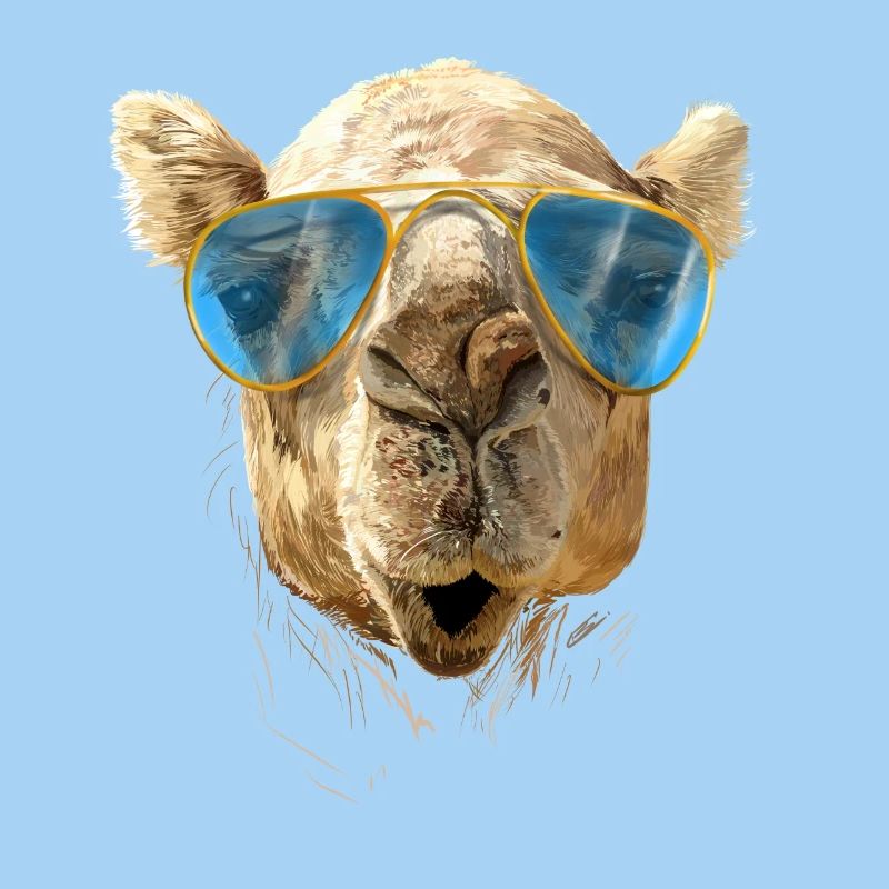 Camel with sunglasses
