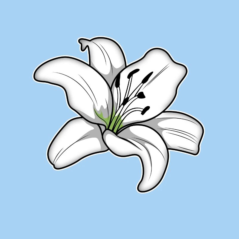 Élégante fleur de lys blanc
