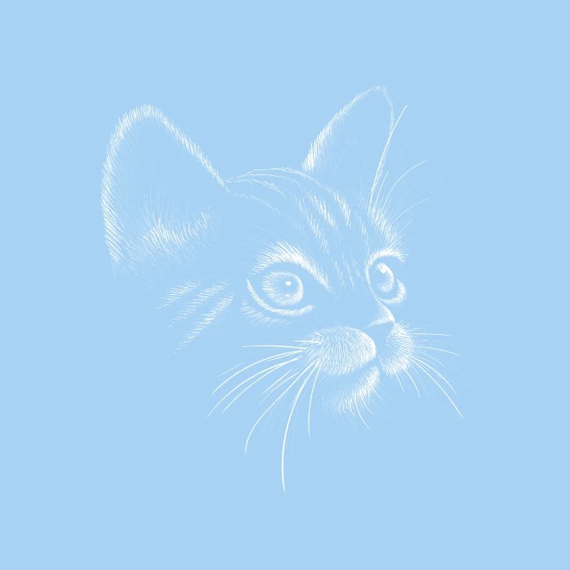 Chat dessiné à la main