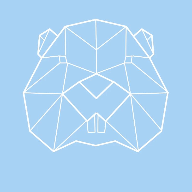 Beaver polygon