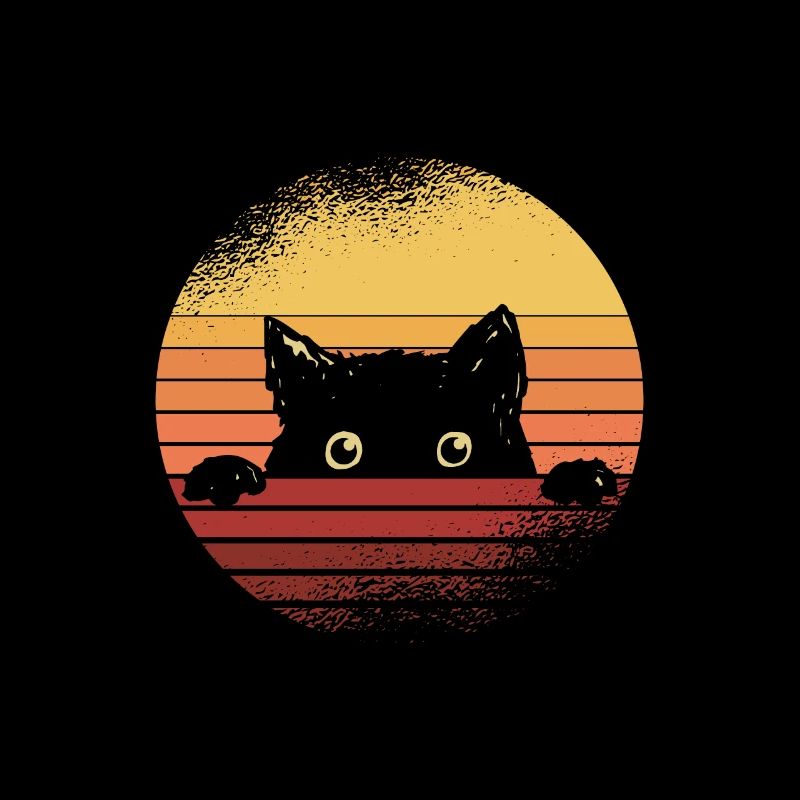 Black cat