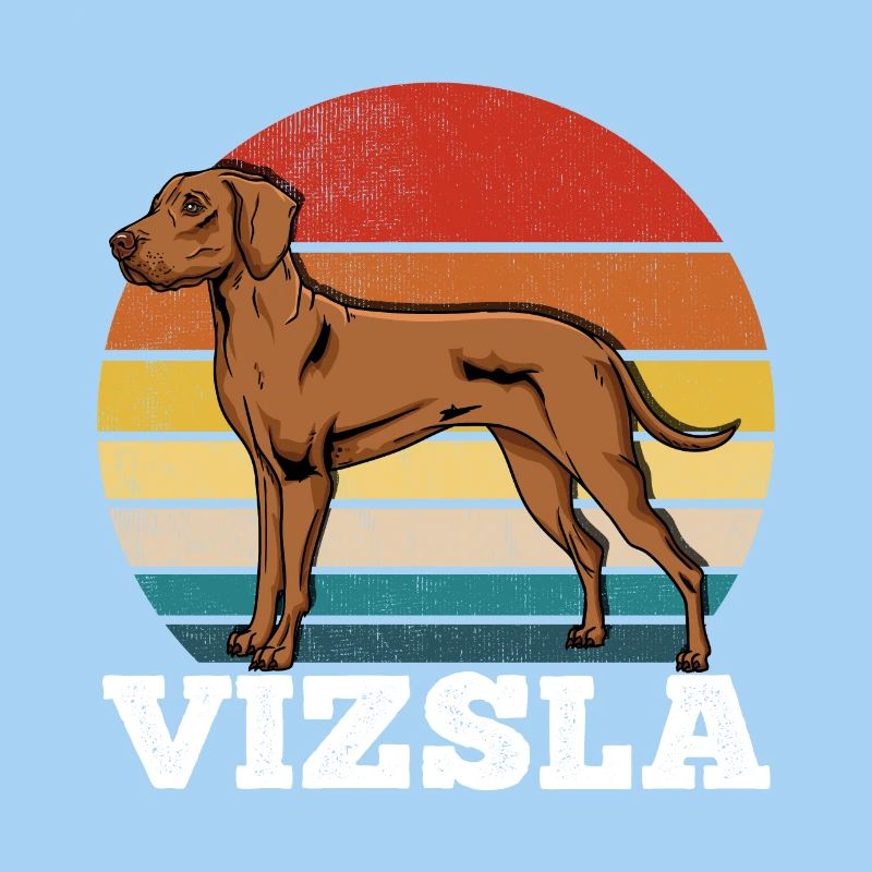 Vizsla Rétro