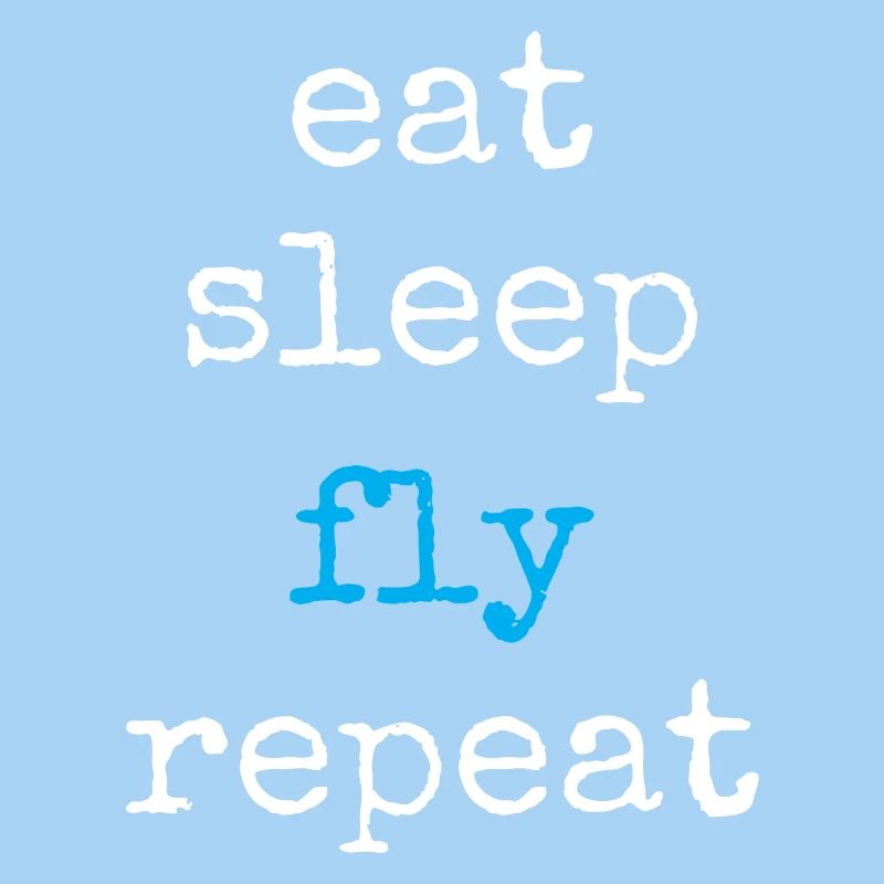 Pilote aux commandes