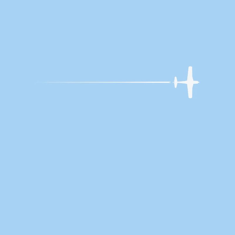 Beruf Pilot Flugzeug fliegen