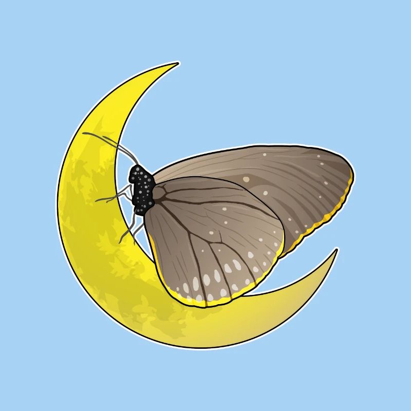 Lune papillon