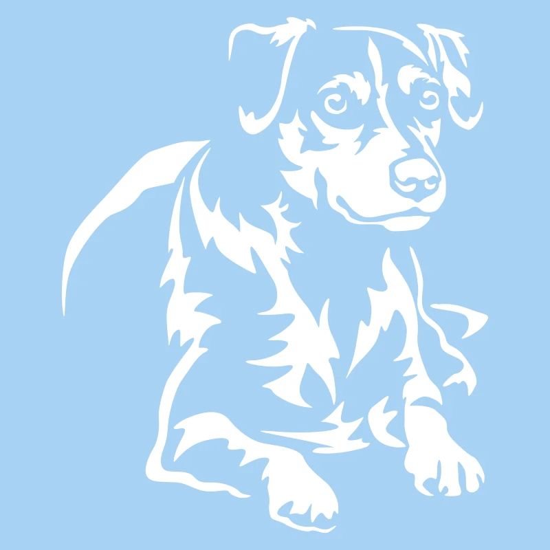 Dansk Svensk Gaardhond "Black Edition"