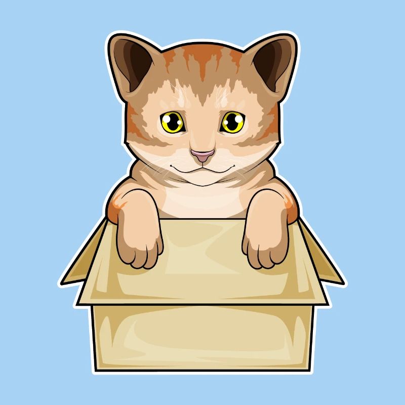 Katze Karton
