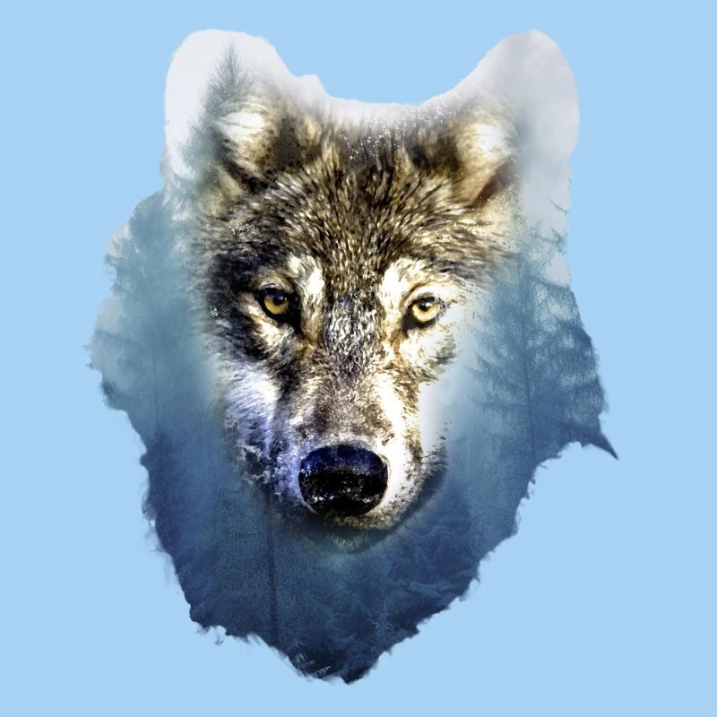 Loup