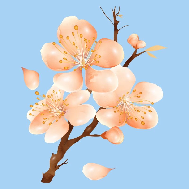 Branche de fleur de pêcher dans un ton pêche doux et velouté