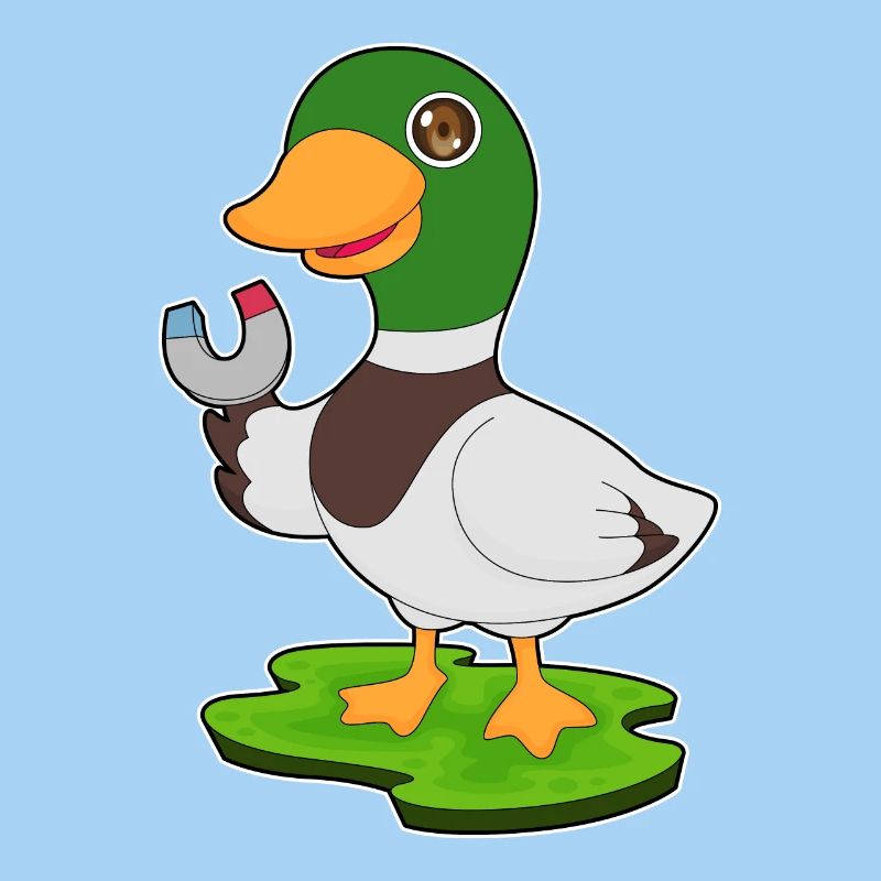 Aimant à canard