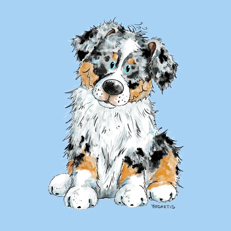 Australian Shepherd Hund Aussie