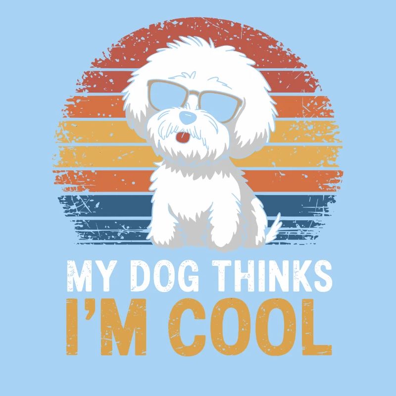 Bichon frisé Mon chien pense que je suis cool