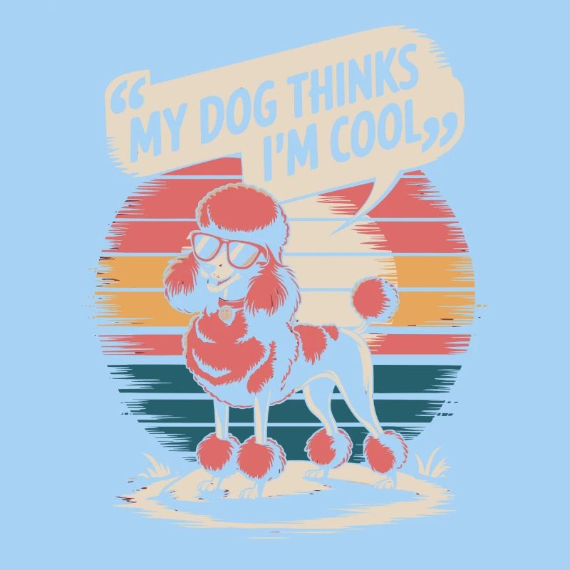 Caniche mon chien pense que je suis cool