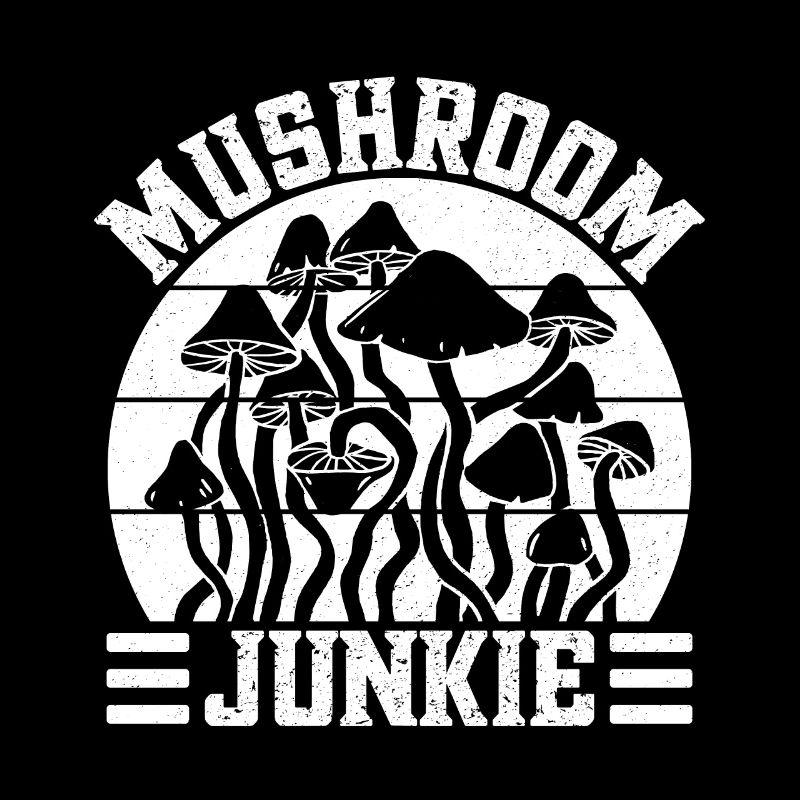 Morilles Champignons Junkie