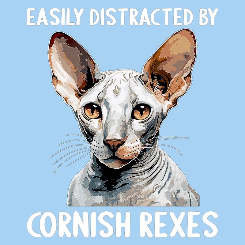 Cornish Rex Facilement distrait par les Cornish Rex