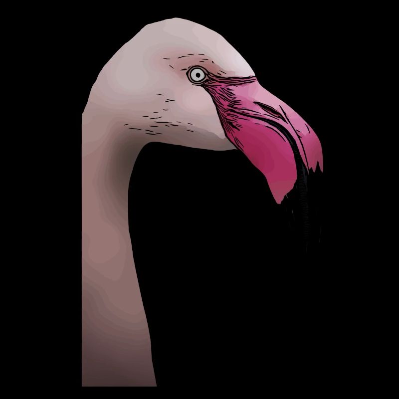 Flamingo - design d’animal oiseau