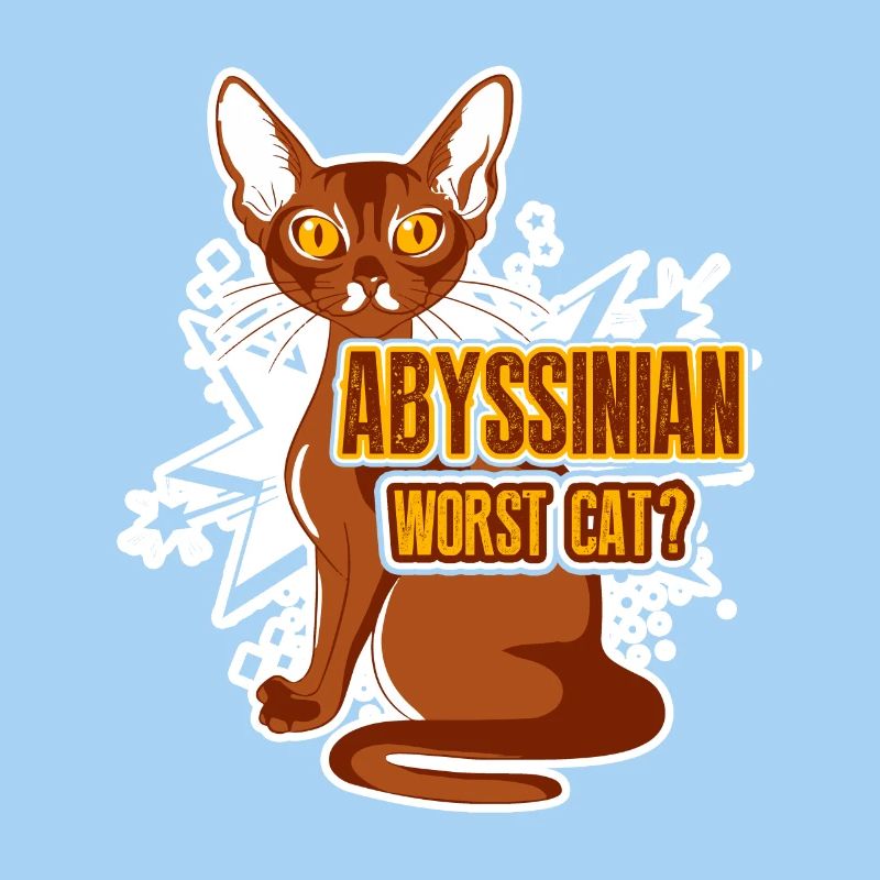 Abyssinian Worst Cat