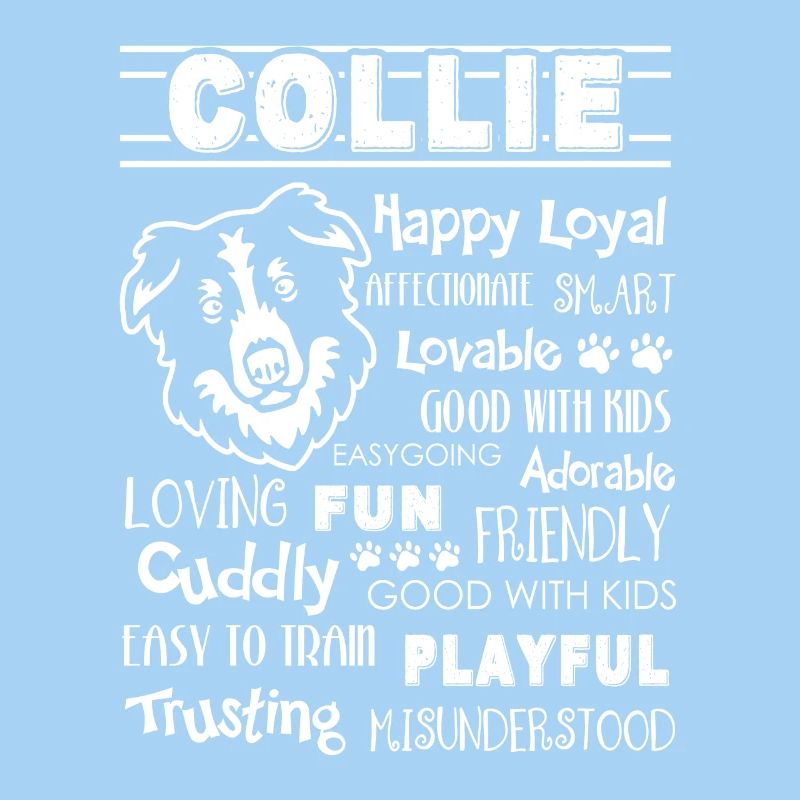 Border Collie Happy Loyal Affectionate Smart