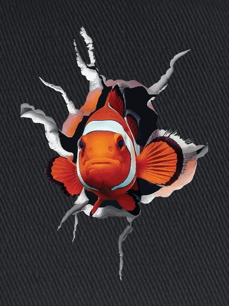 Clownfisch