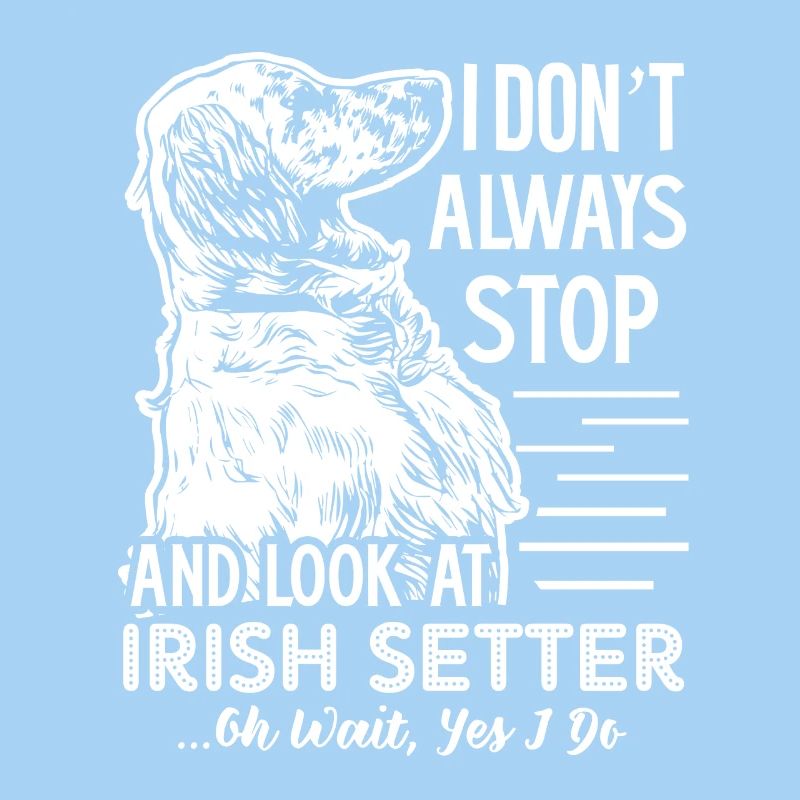Look At Irish Setter