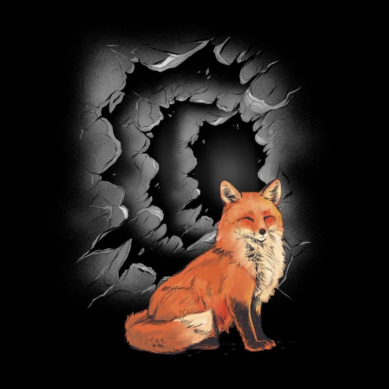 Fuchs Füchse Kind Kinder Märchenfigur