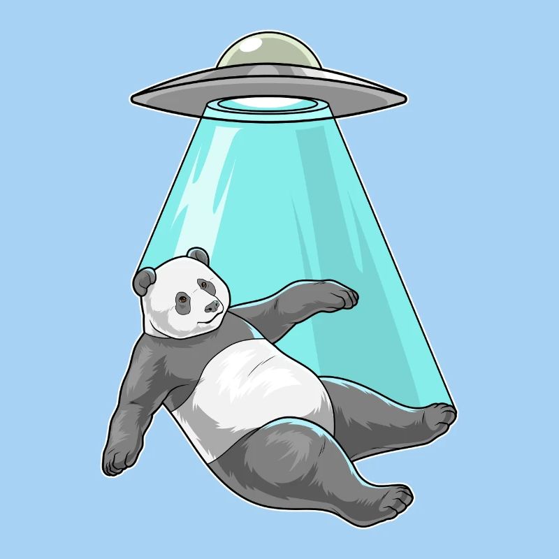 Panda Spaceship Space