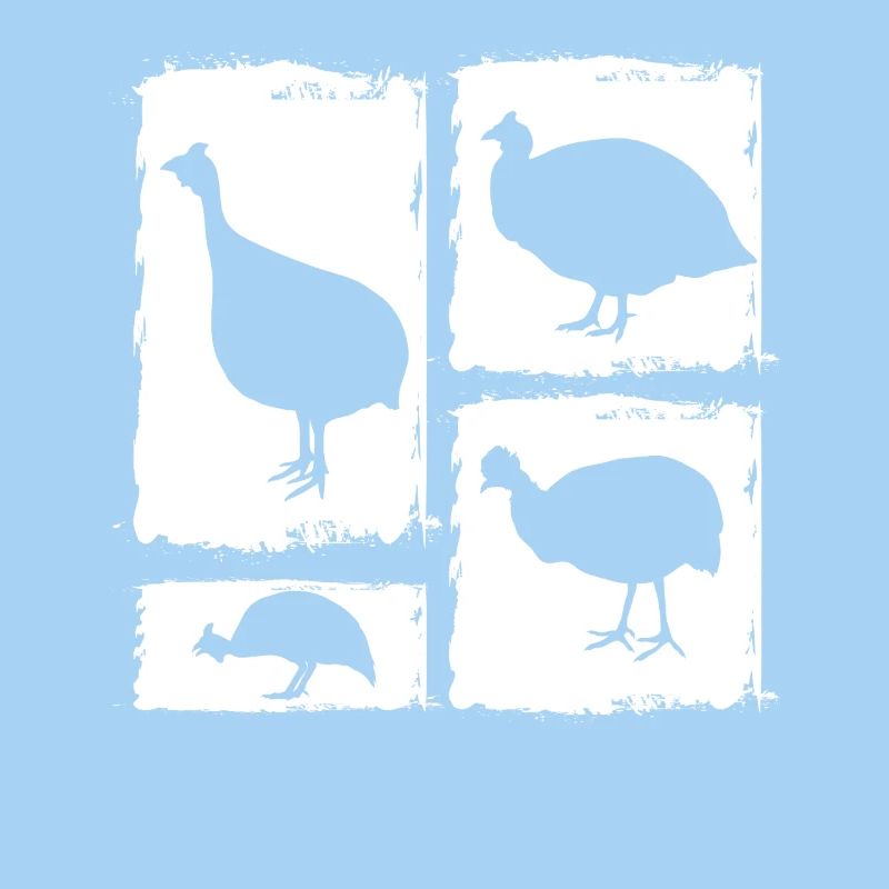 Poules Coq Pintade