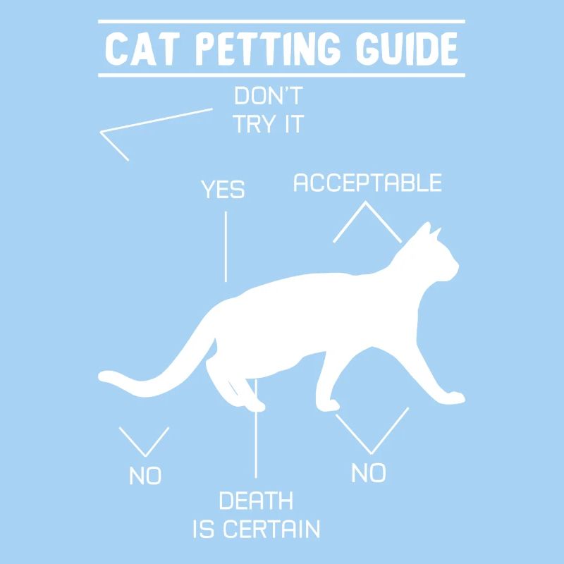 Cat Petting Guide