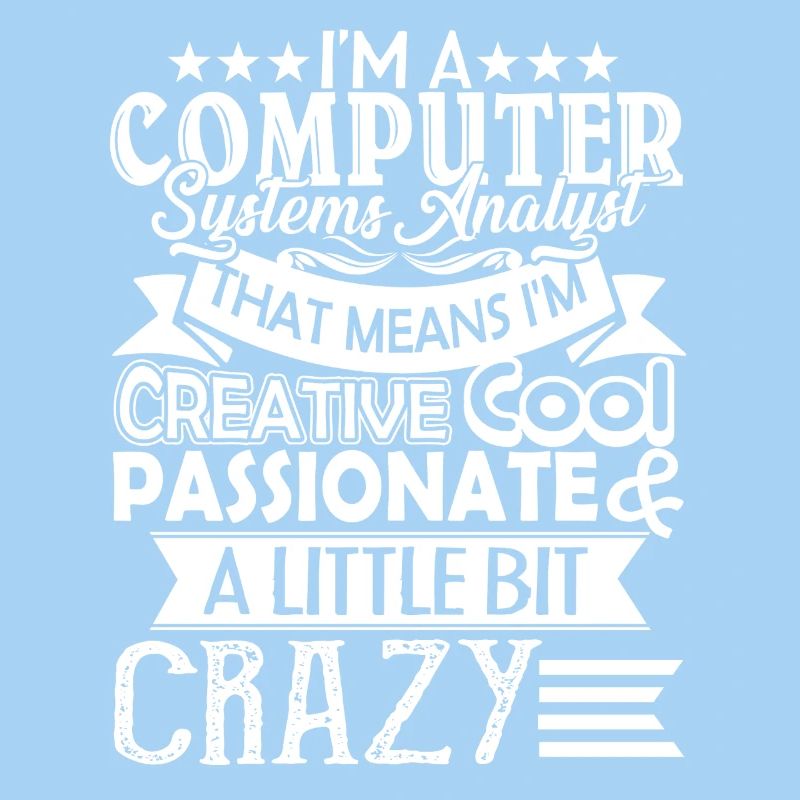 I am A Computer Systems Analyst