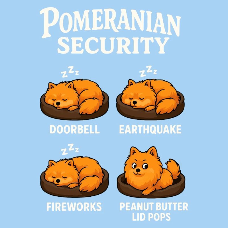 Dwarf spitz