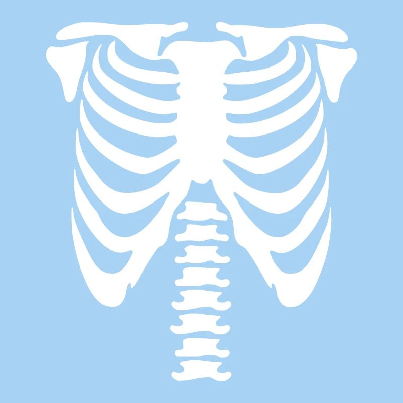 Skelett-Torso