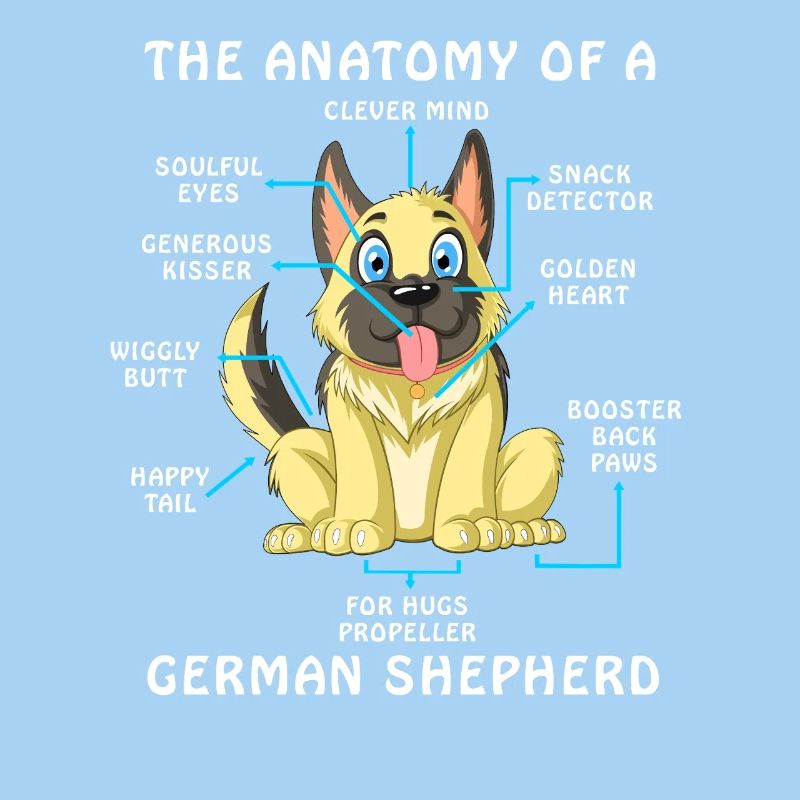 Anatomie eines Deutschen Schäferhundes