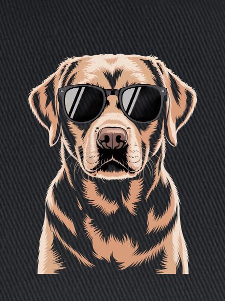 Brauner Labrador 