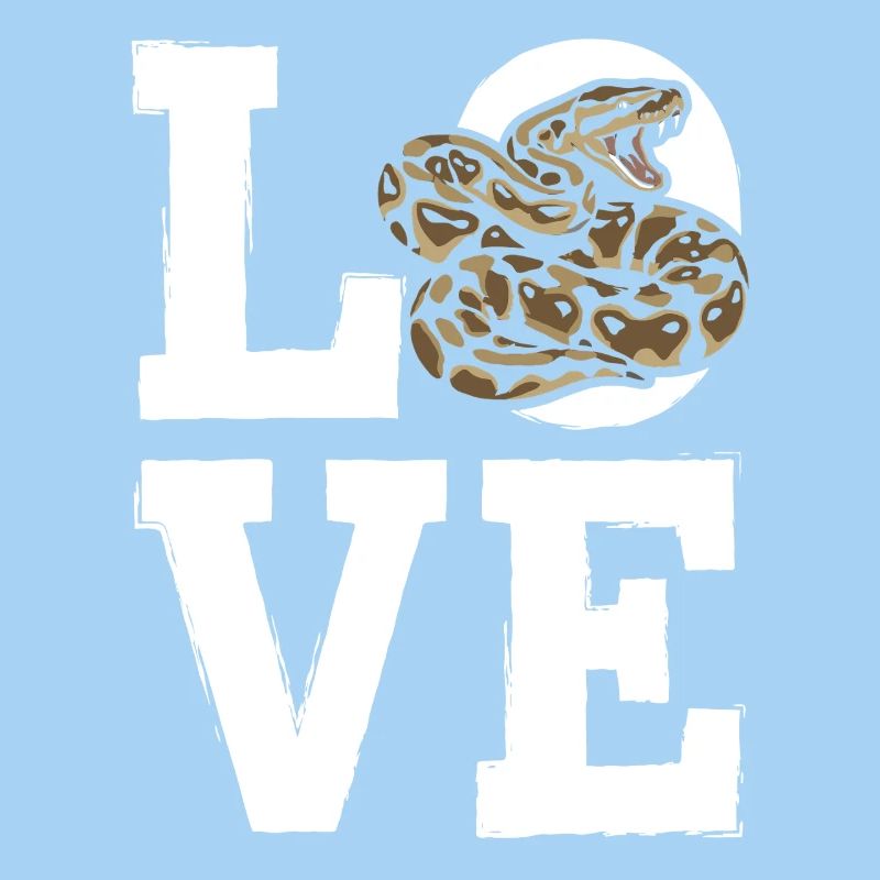 Königspython Schlangen LOVE Terrarium Python