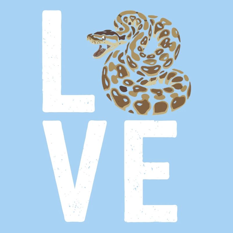 Königspython Schlangen LOVE Terrarium Python