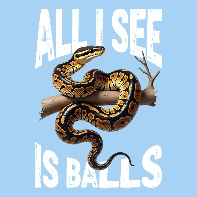 Königspython Schlangen Liebhaber Terrarium Python