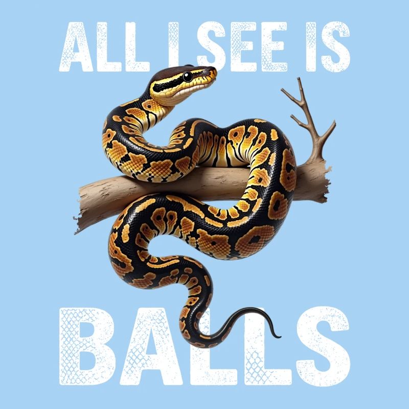 Königspython Schlangen Liebhaber Terrarium Python