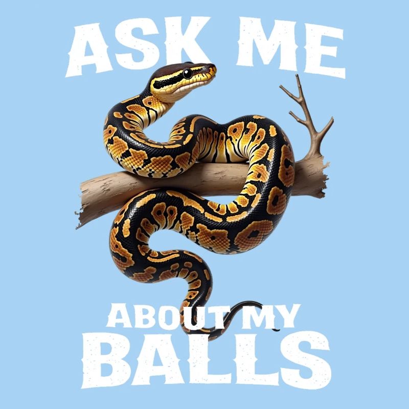 Python roi Serpents Amateurs de terrarium Python