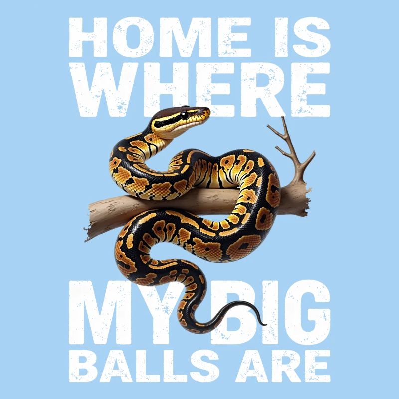 Königspython Schlangen Liebhaber Terrarium Python