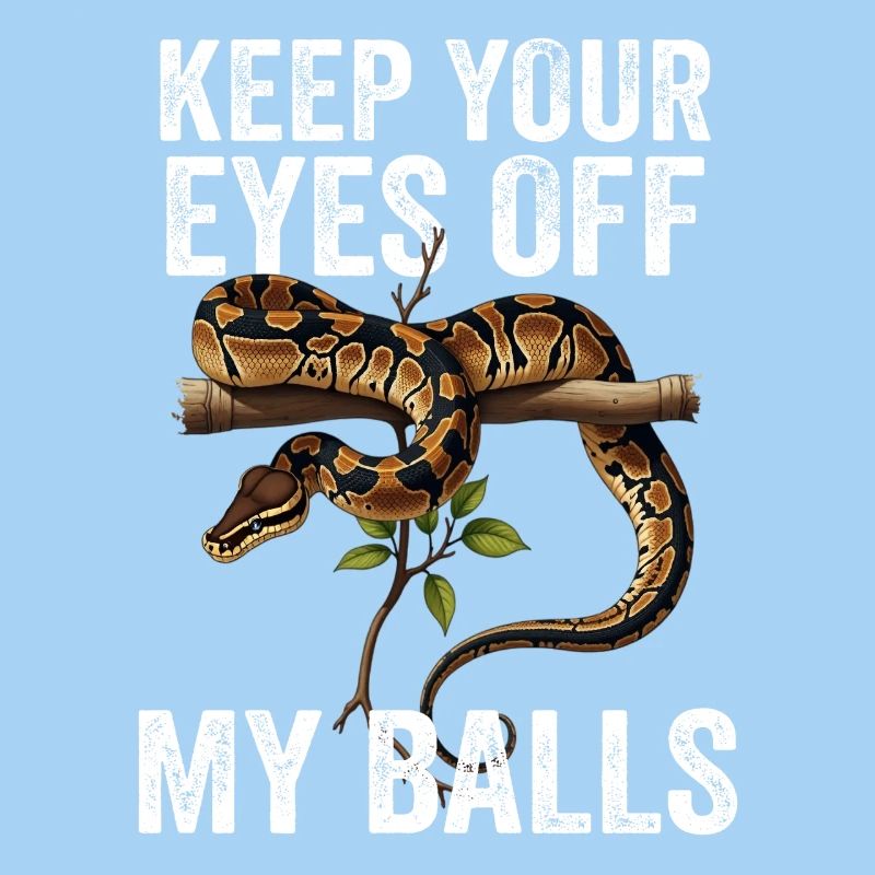 Königspython Schlangen Liebhaber Terrarium Python