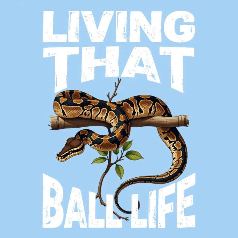 Königspython Schlangen Liebhaber Terrarium Python