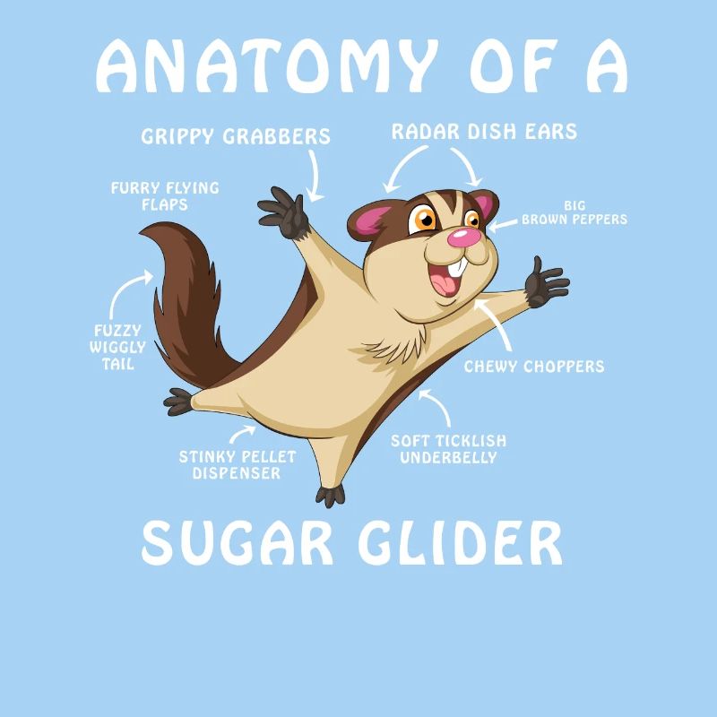 Sugar Glider Anatomie-Shirt