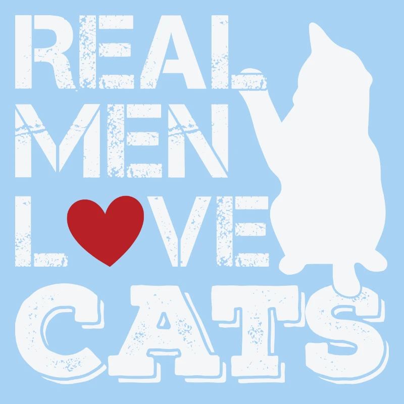 Funny cat