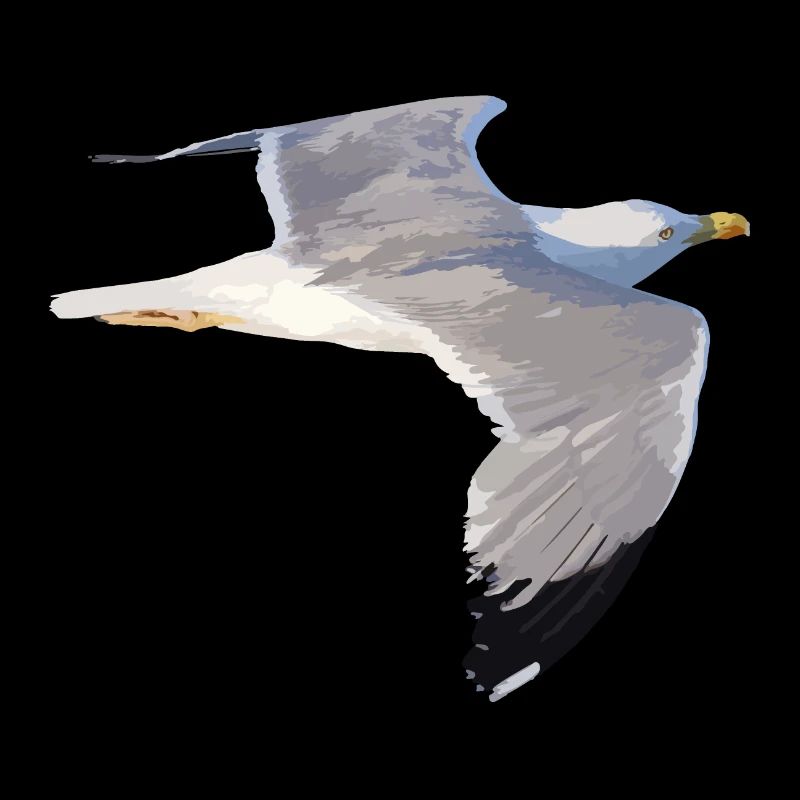 Möwe