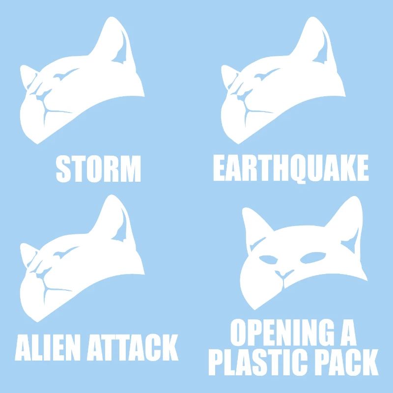 Chat - perception sélective - dire