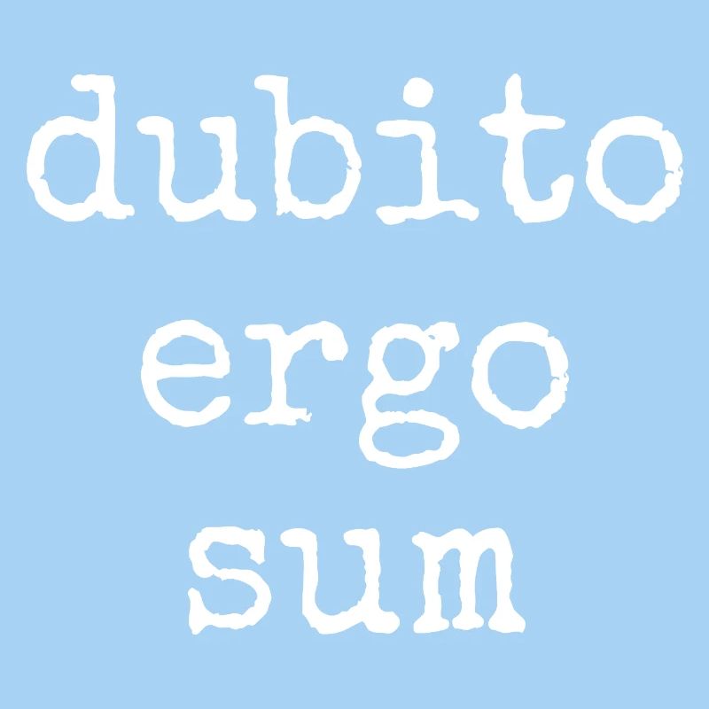 dubito ergo sum - ich zweifele also bin ich