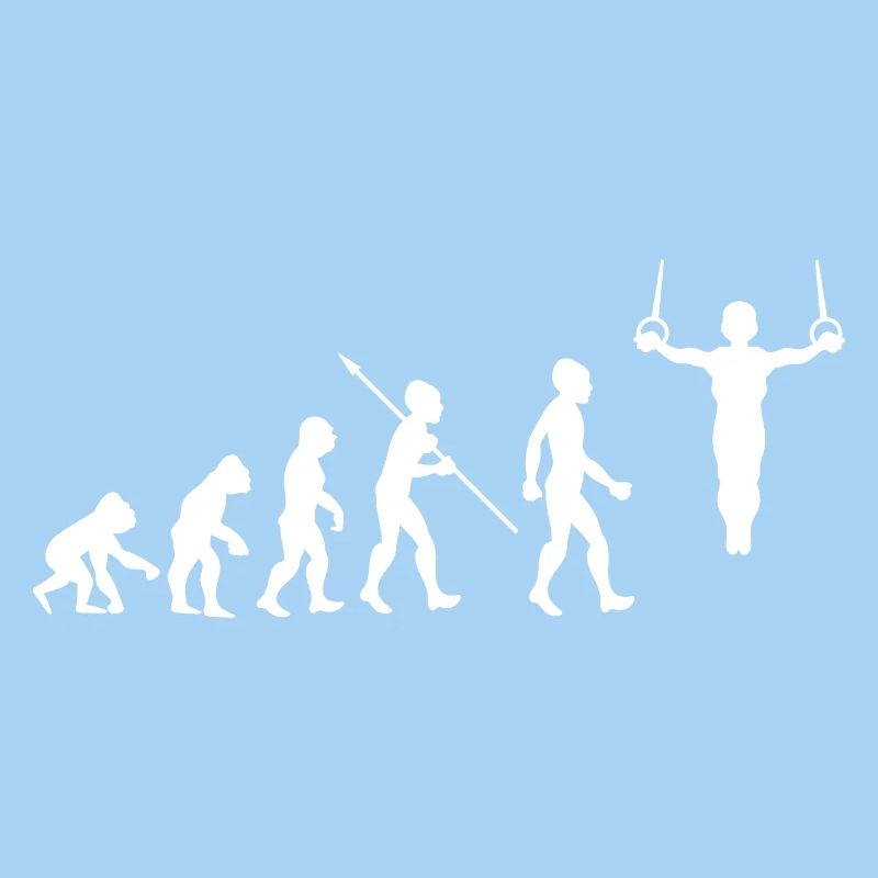 Evolution Gymnastics Gymnastics Acrobatics Gymnastics