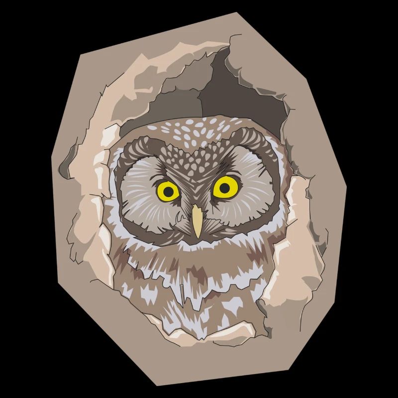 owl