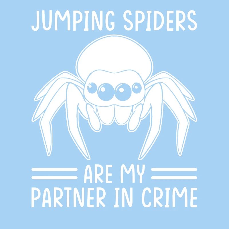 Dicton Jumping Spider